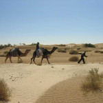 There are many different landscapes in the Sahara, including the archetypal dunes, flat stony stretches, and lots more.