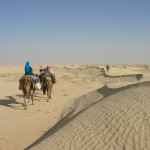 Our camel caravan heads into the depths of the wilderness.