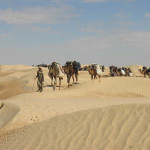 Our Bedouin guides doing what they love best – leading a caravan. Climate change forced them to leave their nomadic life and move to town.